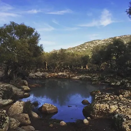 Bia Maore באוני